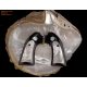 Ruger super negro hawk bisley - cuerno de búfalo negro - Embedded madre de Peal losas grandes