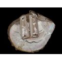 1911A1 pistol grips - fatti a mano da 100% autentica vera bufala osso e incorporata madre perla delle coperture del mare (1911A